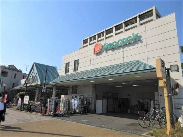 ハウオリ　コートの周辺