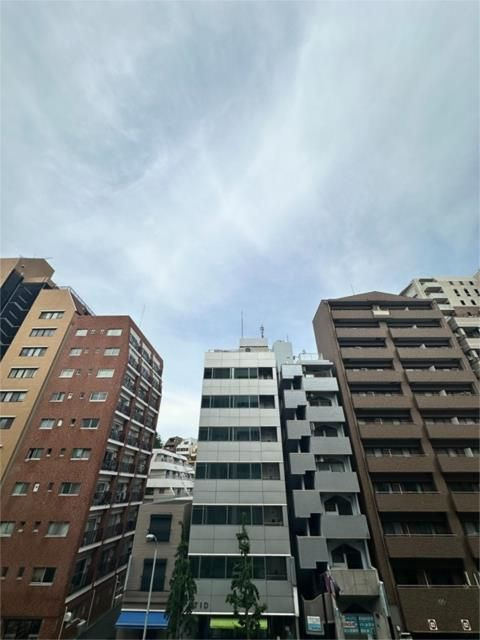 ラティエラ文京音羽の展望