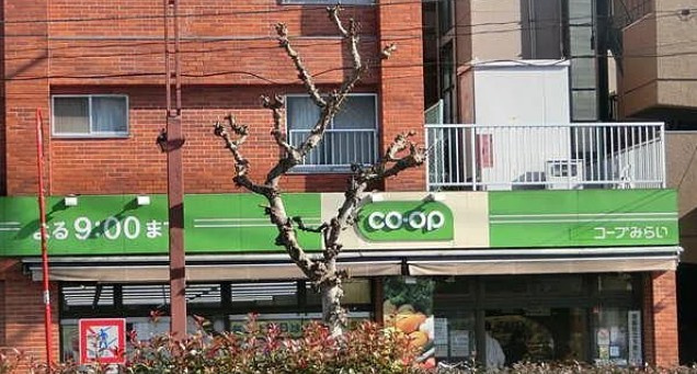 セントローズ江古田の周辺