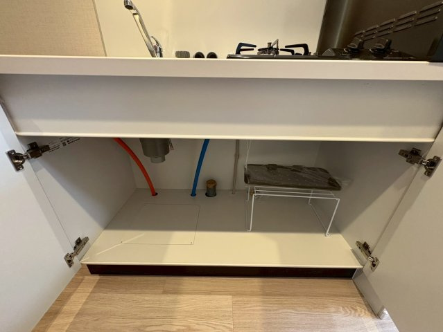 DIPS西新井の収納|たっぷりとした収納スペースです