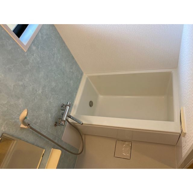 Ａ１ＦＬＡＴの浴室