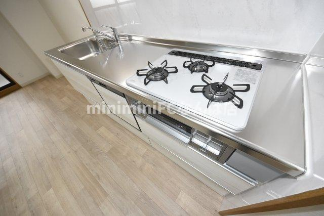 ハイシュタイン堀江