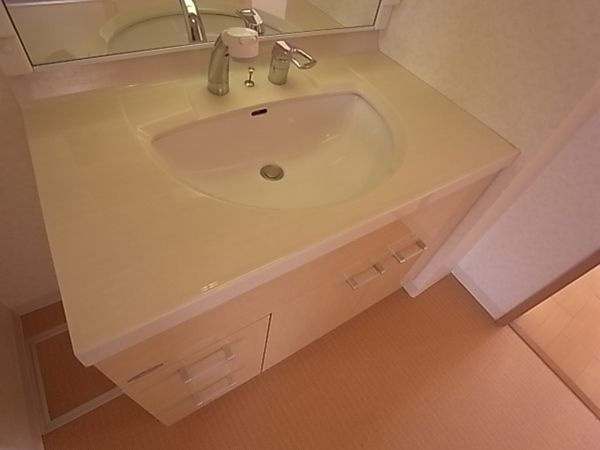 パレス東洋上甲子園の洗面所
