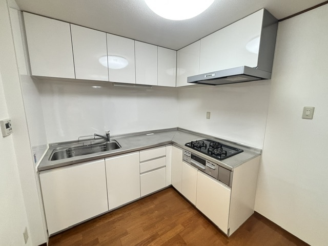 名古屋市中区金山１丁目の賃貸マンションのキッチン