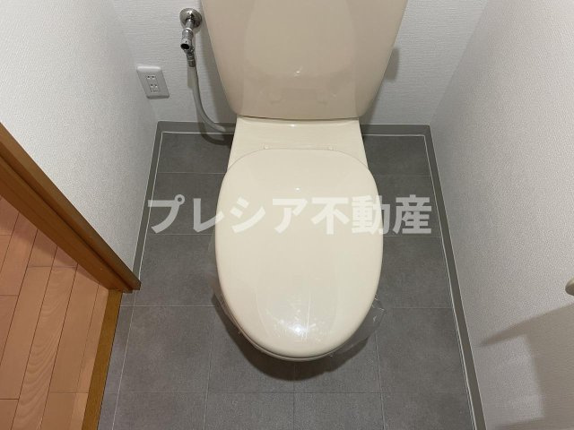 パレス東洋上甲子園のトイレ