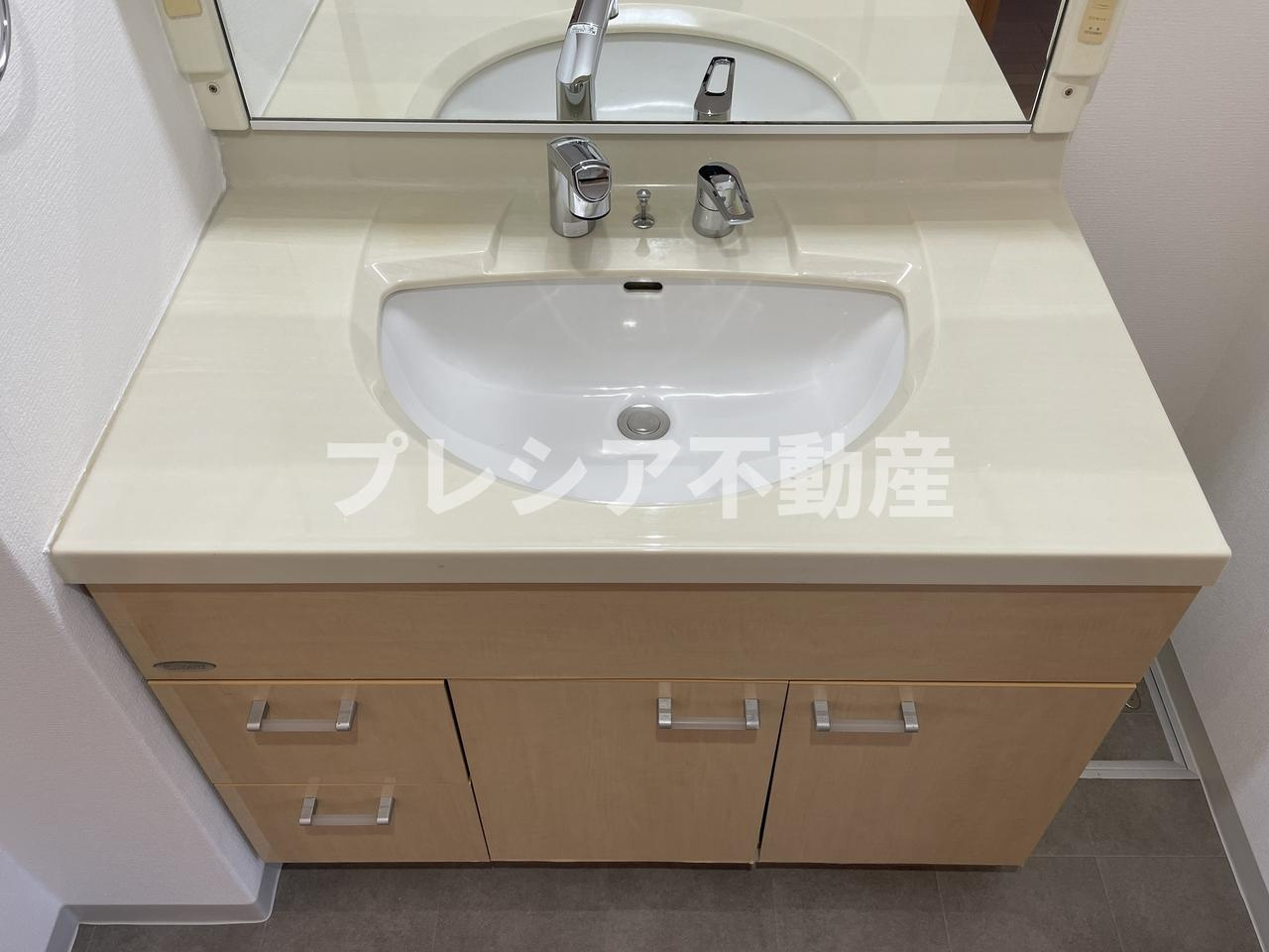 パレス東洋上甲子園の独立洗面台