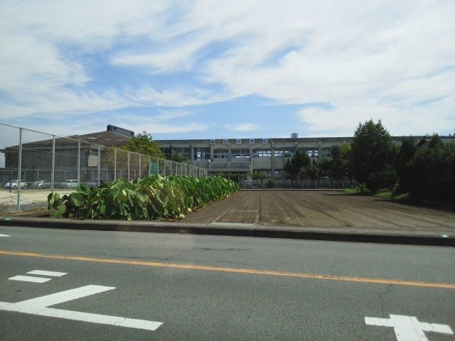 ＮＥＷ　ＣＩＴＹ天神の周辺|飽田中学校まで810m