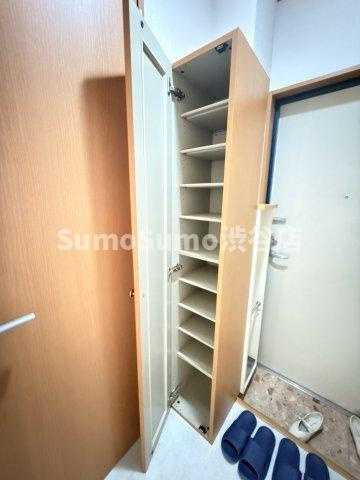 キャスル自由が丘の収納|こまごまとしたものを収納できそうですね