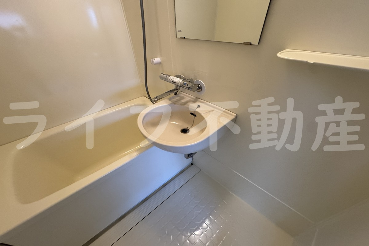 プチハイツ田中の洗面所|広い洗面スペース