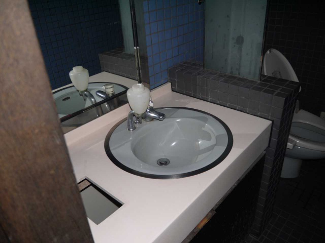 材木町 コメルスⅠの洗面所