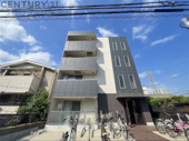 AILE稲野の画像