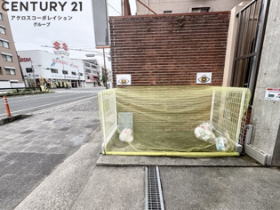 パレス東洋上甲子園のその他物件画像