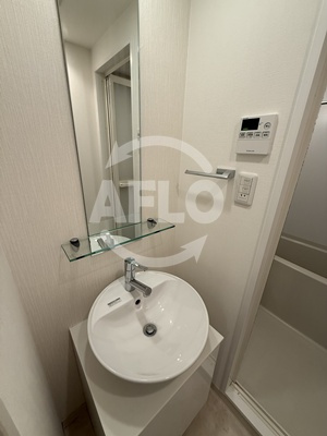 S-RESIDENCE難波Brillerの洗面所|S-RESIDENCE難波Briller　独立洗面化粧台