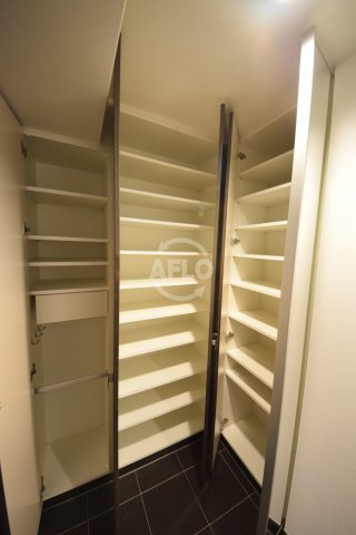 アルグラッドザタワー心斎橋　南小学校の収納|アルグラッドザタワー心斎橋　シューズクローゼット