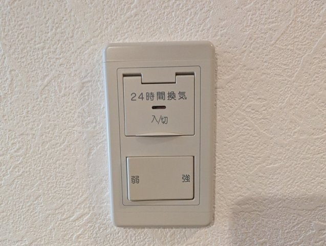 ラピスのその他