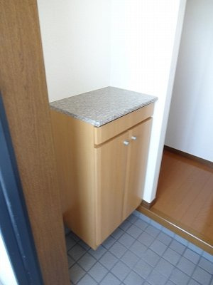 カーサＡＮ（アン）の玄関|収納もある玄関です
