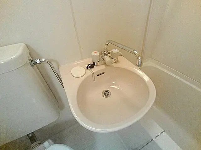 メイプル壱番館の洗面所