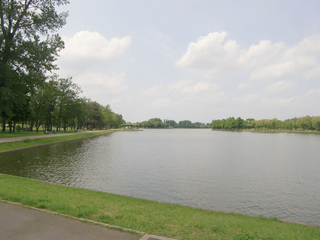 ダイヤマンションのその他|水元公園