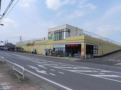 パルムⅠの周辺|ヨークマートまで800m