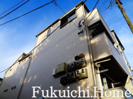 ベルリードキンモクセイの画像