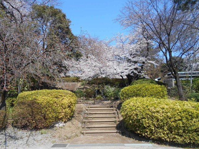 哲学堂公園まで180ｍ