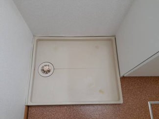 【その他】 | マイネＳ３