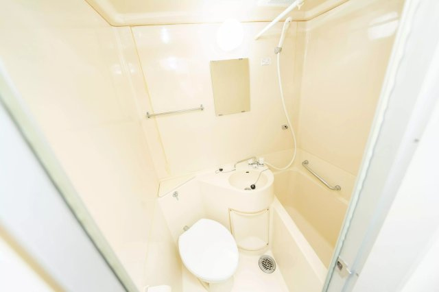 AP303 ハイタウン池上第2 404のトイレ|



