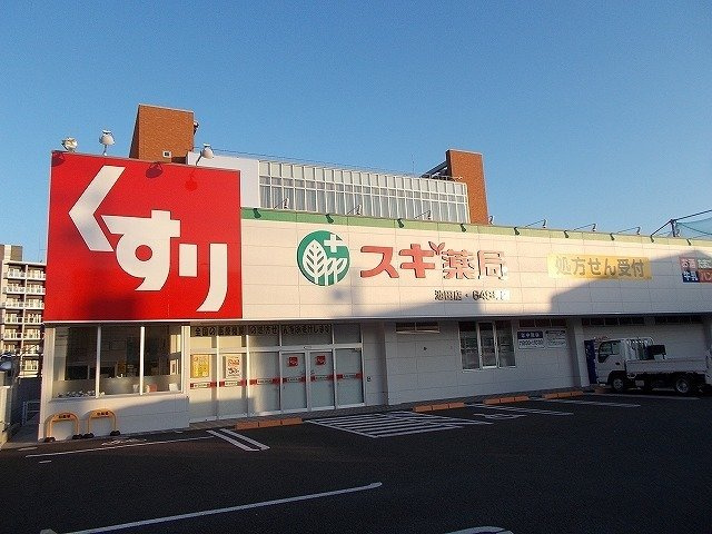 ソレイユ・イーストブリッジの周辺|スギ薬局池田店まで950m