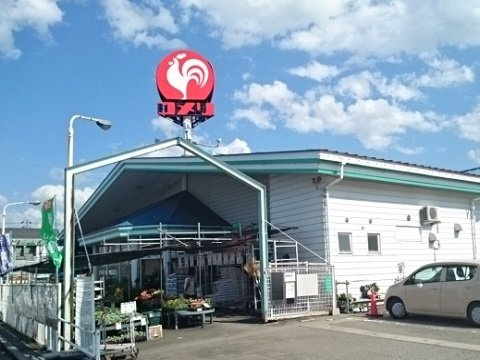 メゾン若葉台の周辺|コメリ婦中店まで500m