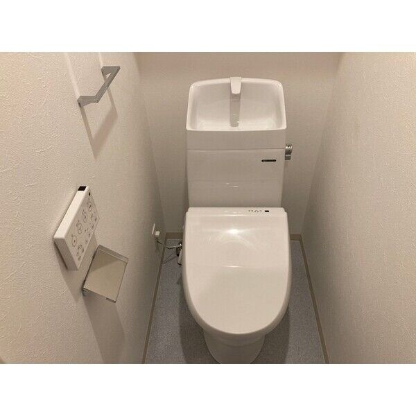 F asecia Ruminaのトイレ