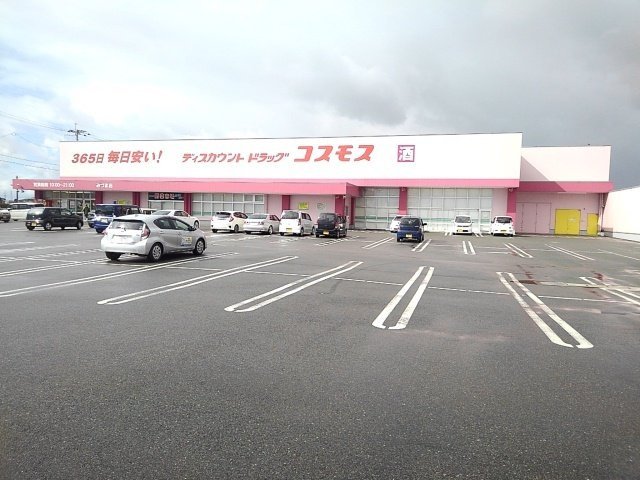 エクセレンテ久留米みづまⅡの周辺|ドラッグコスモスみづま店まで240m