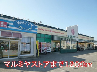 【周辺】 | ミルト・フリーデⅡ | マルミヤストアまで1200m