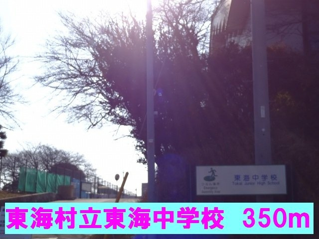 メゾン　ドリカムⅠの周辺|東海村立東海中学校まで350m