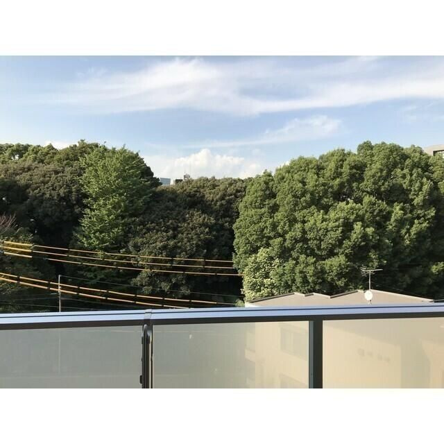 ブランズ渋谷常盤松の展望