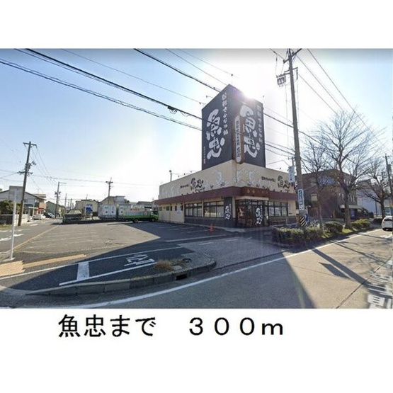 【展望】 | プラシード