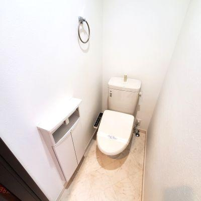 熊本市中央区白山３丁目の賃貸マンションのトイレ