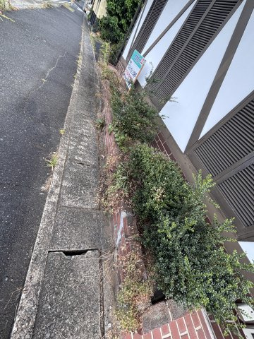 津山市田町　貸店舗　喫茶みまつ跡のその他|植込み