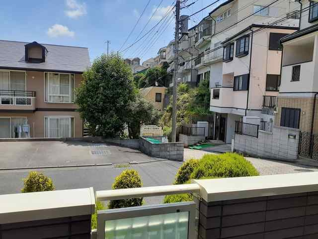 カトレアの展望