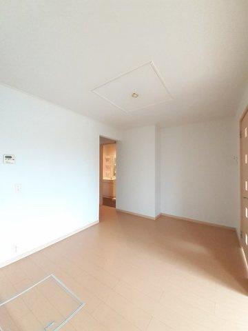 アングレカム　Ｂのその他