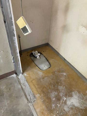SK天六