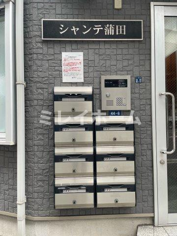 シャンテ蒲田のその他共用部分