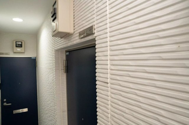 AP923 リプロンビギン三軒茶屋Ⅱ 105のエントランス|



