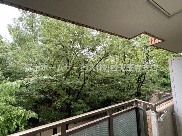 ハイツオークラ靭公園の展望