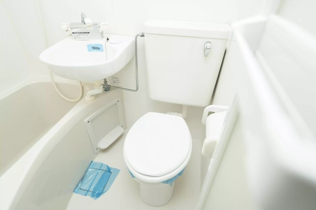 AP483 リプロンビギン三軒茶屋Ⅱ 203のトイレ|



