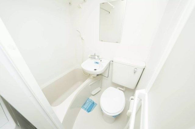 AP483 リプロンビギン三軒茶屋Ⅱ 203のトイレ|



