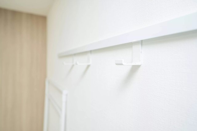 AP483 リプロンビギン三軒茶屋Ⅱ 203の収納|



