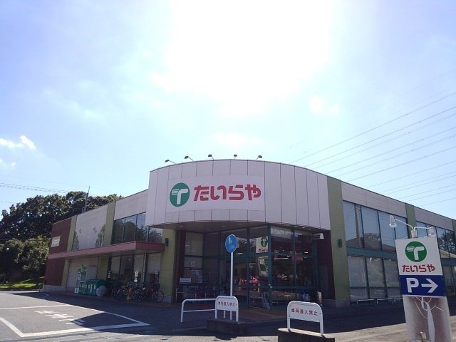 【周辺】 | フォレスト参番館 | たいらや自治医大店まで300m