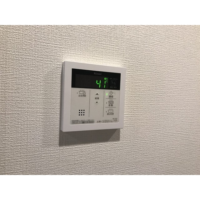 ヴィルナタルのその他