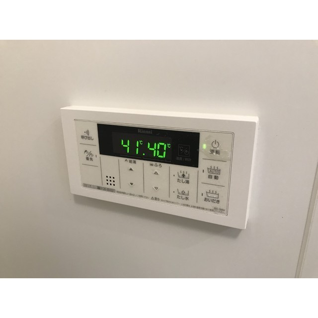 ヴィルナタルのその他