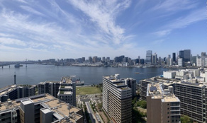 HARUMI FLAG PARK VILLAGE　T棟の画像